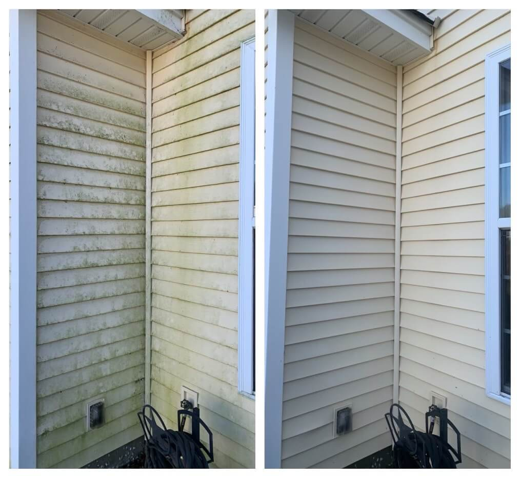 Fernandina Beach Vinyl Siding Cleaning Algae