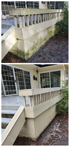 Amelia Island Deck Cleaning Mold and Algae