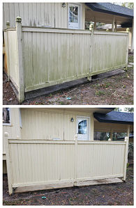 Yulee Fence Cleaning Green Algae