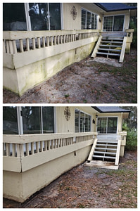 Amelia Island Green Algae Cleaning