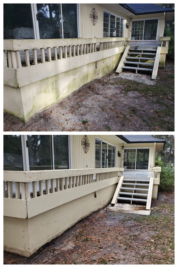 Amelia Island Green Algae Cleaning